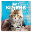 Kép 1/2 - Realsystem Falinaptár, 2025 - Kittens