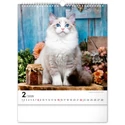 Kép 3/13 - Realsystem Falinaptár, 2026 - Cats