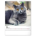 Kép 4/13 - Realsystem Falinaptár, 2026 - Cats