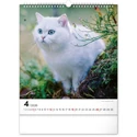 Kép 5/13 - Realsystem Falinaptár, 2026 - Cats