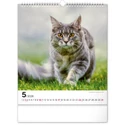 Kép 6/13 - Realsystem Falinaptár, 2026 - Cats