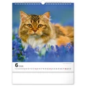 Kép 7/13 - Realsystem Falinaptár, 2026 - Cats