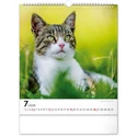 Kép 8/13 - Realsystem Falinaptár, 2026 - Cats