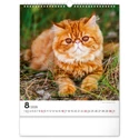 Kép 9/13 - Realsystem Falinaptár, 2026 - Cats