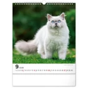 Kép 10/13 - Realsystem Falinaptár, 2026 - Cats