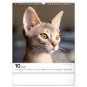 Kép 11/13 - Realsystem Falinaptár, 2026 - Cats