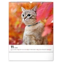 Kép 12/13 - Realsystem Falinaptár, 2026 - Cats
