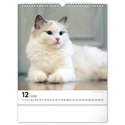 Kép 13/13 - Realsystem Falinaptár, 2026 - Cats