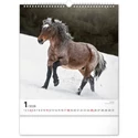Kép 2/13 - Realsystem Falinaptár, 2026 - Horses