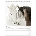 Kép 3/13 - Realsystem Falinaptár, 2026 - Horses
