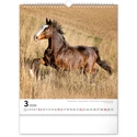 Kép 4/13 - Realsystem Falinaptár, 2026 - Horses