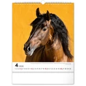 Kép 5/13 - Realsystem Falinaptár, 2026 - Horses