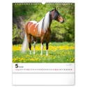 Kép 6/13 - Realsystem Falinaptár, 2026 - Horses