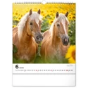 Kép 7/13 - Realsystem Falinaptár, 2026 - Horses