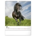 Kép 8/13 - Realsystem Falinaptár, 2026 - Horses