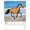 Kép 9/13 - Realsystem Falinaptár, 2026 - Horses