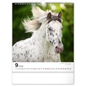Kép 10/13 - Realsystem Falinaptár, 2026 - Horses