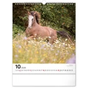 Kép 11/13 - Realsystem Falinaptár, 2026 - Horses