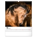 Kép 12/13 - Realsystem Falinaptár, 2026 - Horses