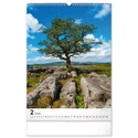 Kép 3/13 - Realsystem Falinaptár, 2026 - Trees