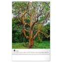 Kép 5/13 - Realsystem Falinaptár, 2026 - Trees
