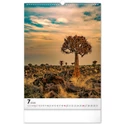 Kép 8/13 - Realsystem Falinaptár, 2026 - Trees
