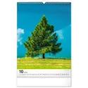 Kép 11/13 - Realsystem Falinaptár, 2026 - Trees