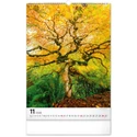 Kép 12/13 - Realsystem Falinaptár, 2026 - Trees