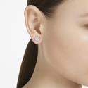 Swarovski Constella: Fülbevaló Stud Pave White/Ros Swarovski Constella: Fülbevaló Stud Pave White/Ros