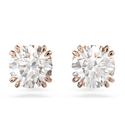Swarovski Constella: Fülbevaló Stud Rd White/Ros Swarovski Constella: Fülbevaló Stud Rd White/Ros
