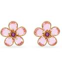 Kép 1/2 - Swarovski Florere: Fülbevaló Naïve Pin/Gos