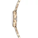 Kép 6/8 - Swarovski Dextera Octagon: Óra Pro/White/Pro