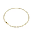 Kép 4/5 - Swarovski Una: Nyaklánc Small Motif Cry/Gos