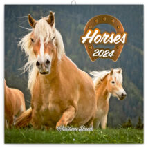 Realsystem Falinaptár, 2024 - Horses