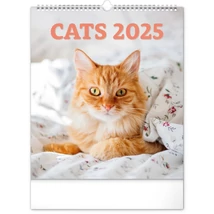 Realsystem Falinaptár, 2025 - Cats