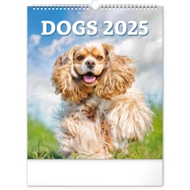 Realsystem Falinaptár, 2025 - Dogs