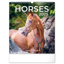 Realsystem Falinaptár, 2025 - Horses