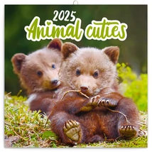 Realsystem Falinaptár, 2025 - Animal Cuties