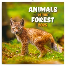 Realsystem Falinaptár, 2025 - Animals of the Forest