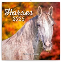 Realsystem Falinaptár, 2025 - Horses