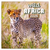 Realsystem Falinaptár, 2025 - Wild Africa