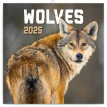 Realsystem Falinaptár, 2025 - Wolves