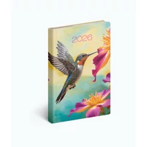 Realsystem Fiestina Light B/6 zsebnaptár, 2026 - Kolibri