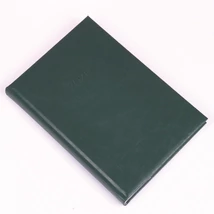 Realsystem Standard B/5 napi naptár, 2026 - Zöld