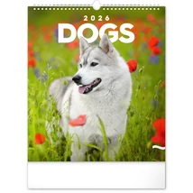 Realsystem Falinaptár, 2026 - Dogs