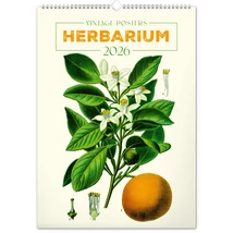 Realsystem Falinaptár, 2026 - Vintage Posters - Herbarium Realsystem Falinaptár, 2026 - Vintage Posters - Herbarium