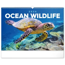 Realsystem Falinaptár, 2026 - Ocean Wildlife