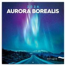 Realsystem Falinaptár, 2026 - Aurora Borealis