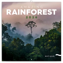 Realsystem Falinaptár, 2026 - Amazing Rainforest