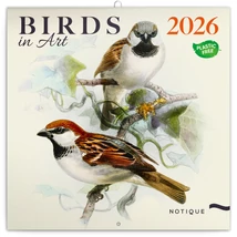 Realsystem Falinaptár, 2026 - Birds in Art